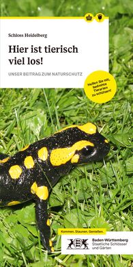 Titelbild der Broschüre "Naturschutzflyer" von Schloss Heidelberg