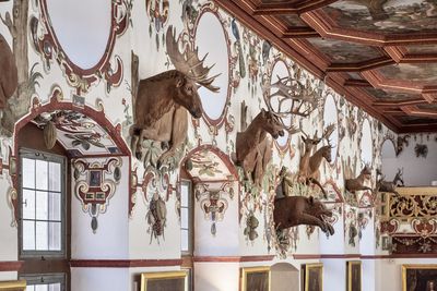 Schloss und Schlossgarten Weikersheim, Innen, Jagdtrophäen an der Wand des Rittersaals